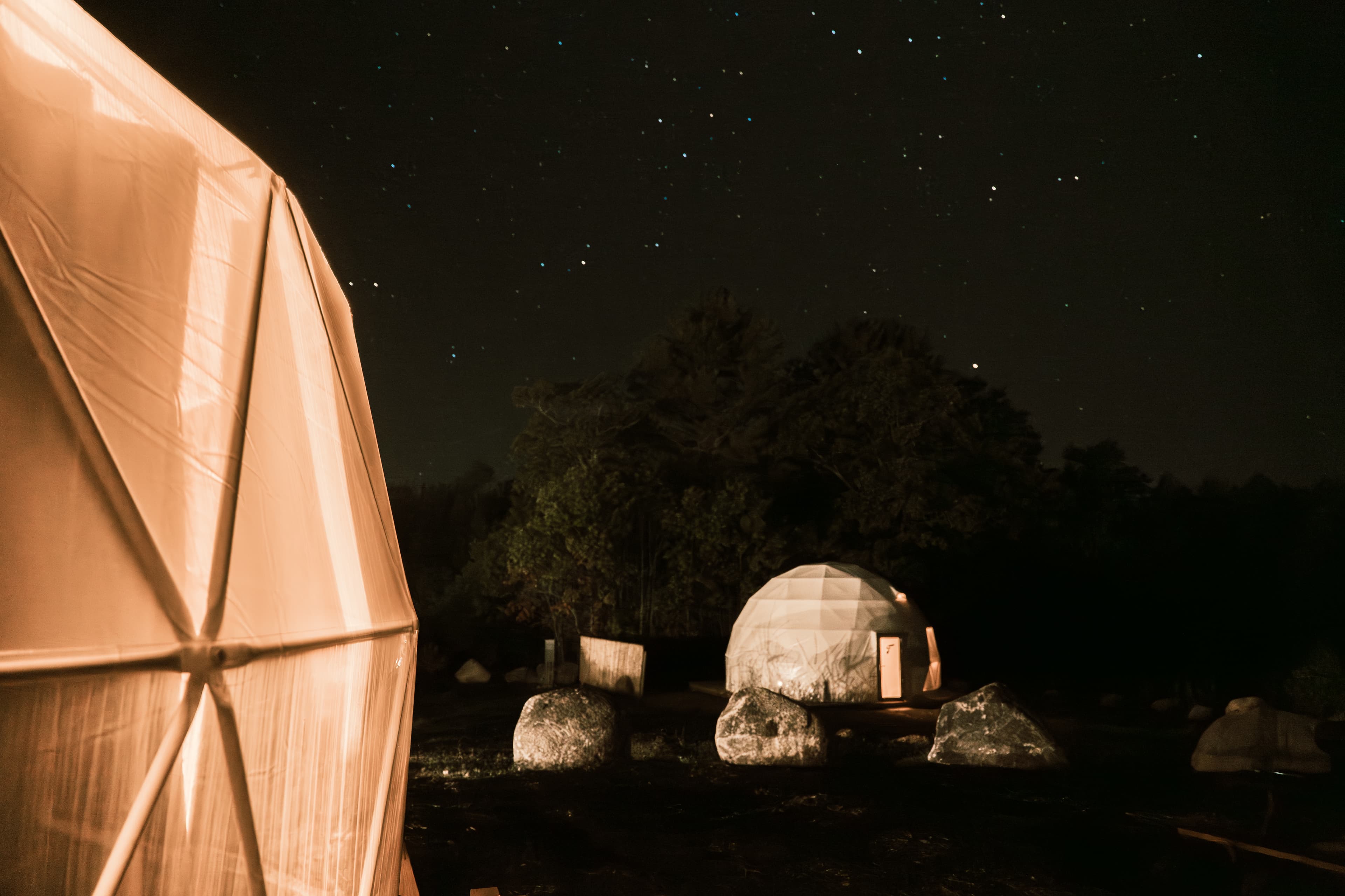 Ferncrest domes under the stars at night