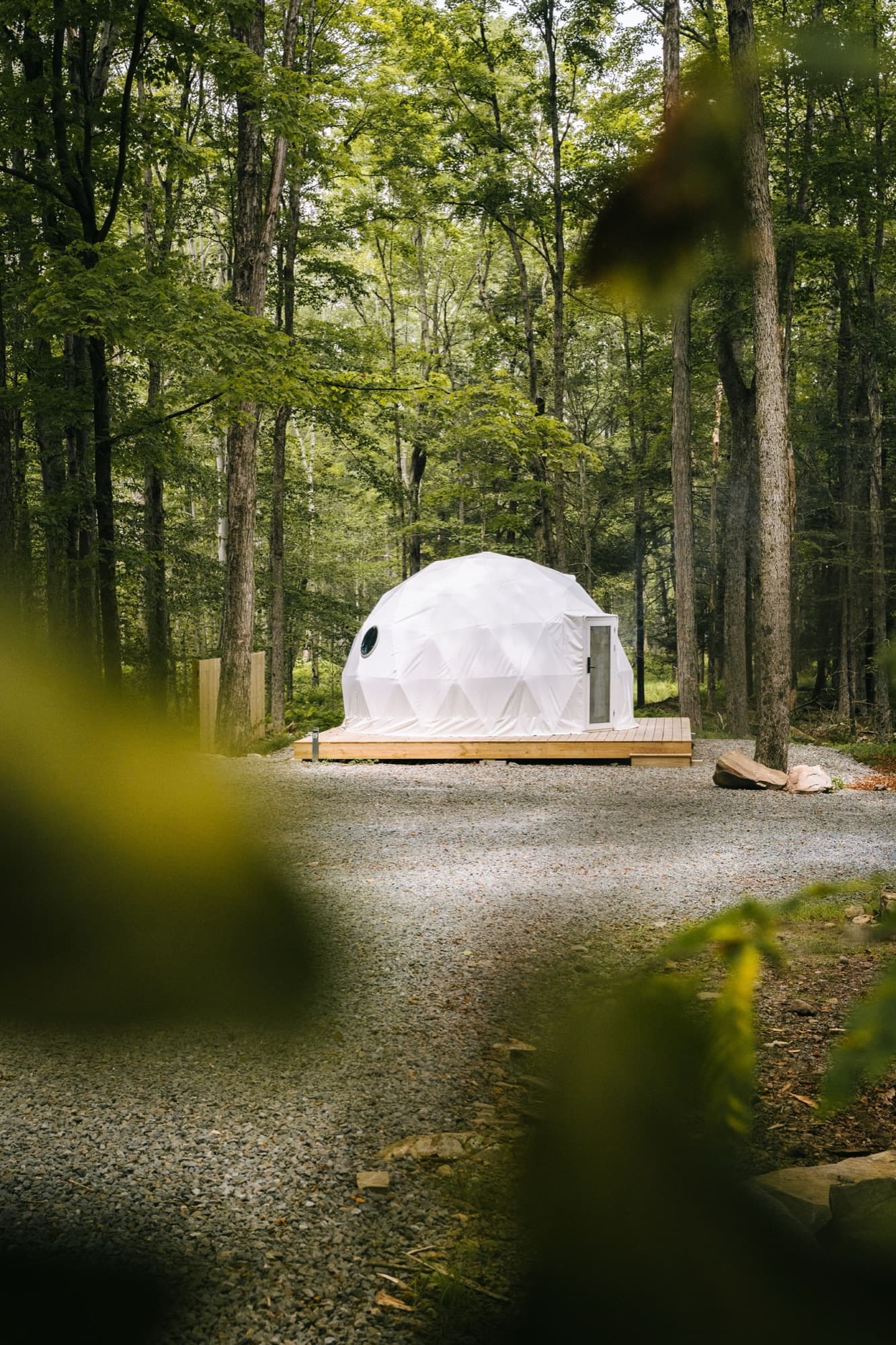 Glamping dome at Ferncrest