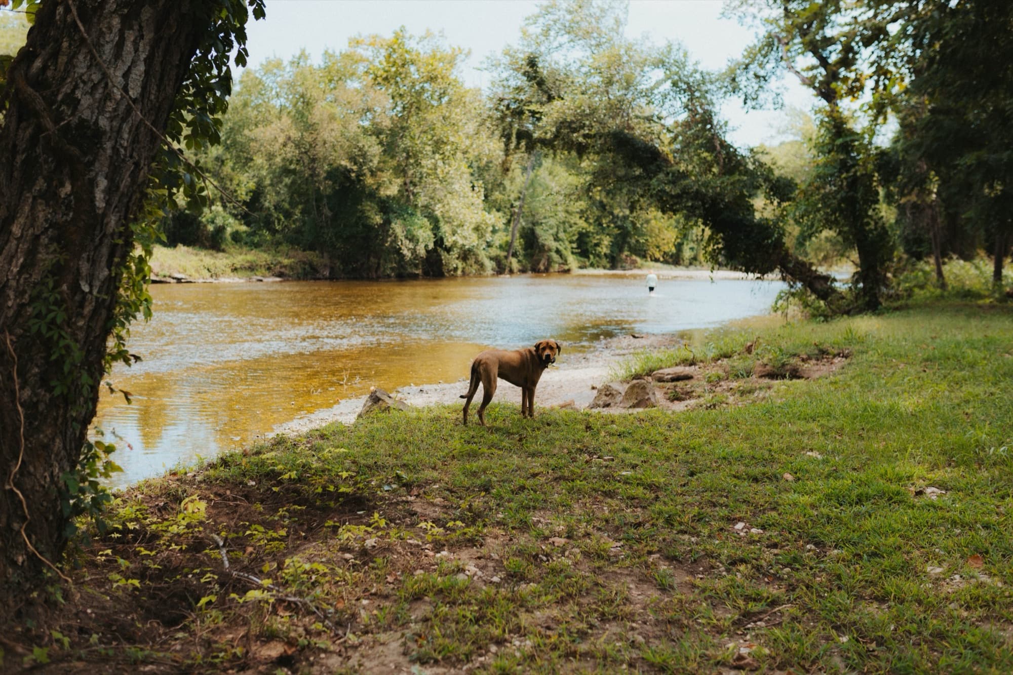 Flint Creek — things to do